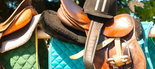 Accessoires équitation