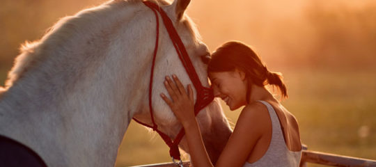 cavalier-cheval