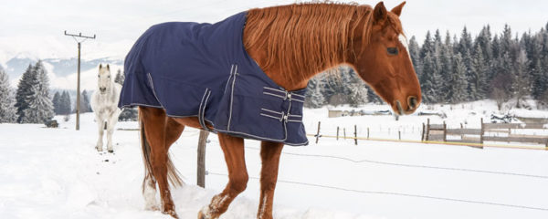 couvertures imperméables pour chevaux