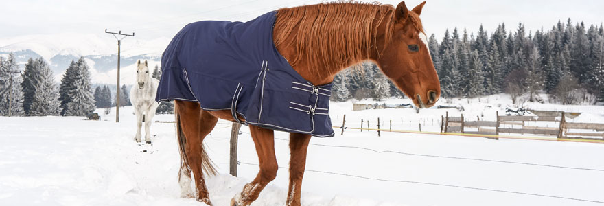 couvertures imperméables pour chevaux